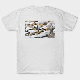 A colony of Gannets T-Shirt